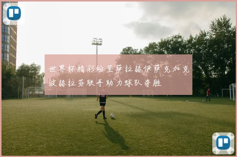 世界杯精彩纷呈萨拉赫伊萨克加克波赫拉芬联手助力球队夺胜